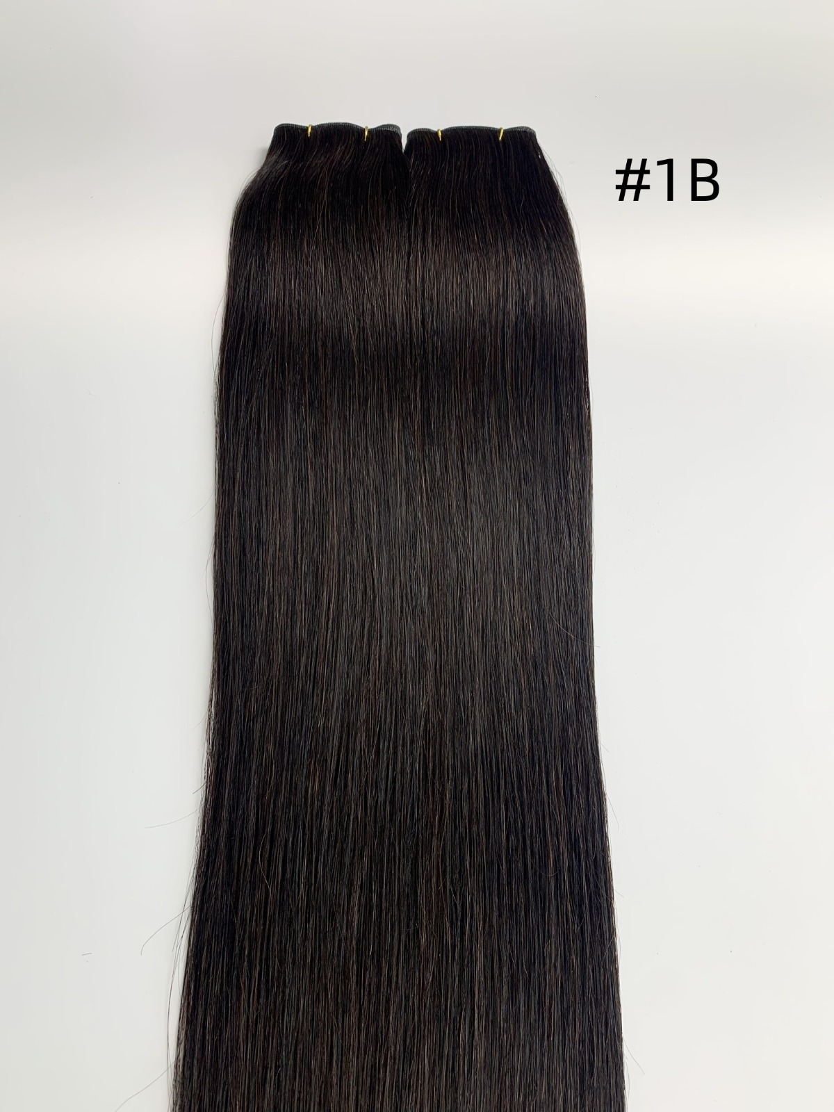 G-1B hair swatch