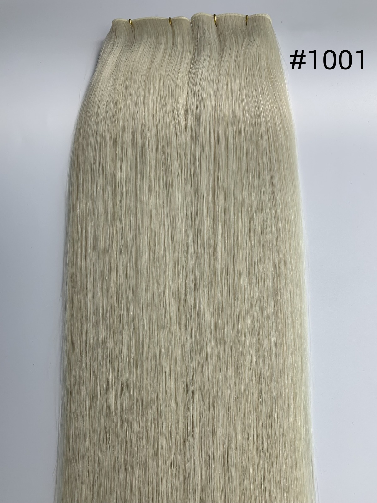 G-1001 hair swatch