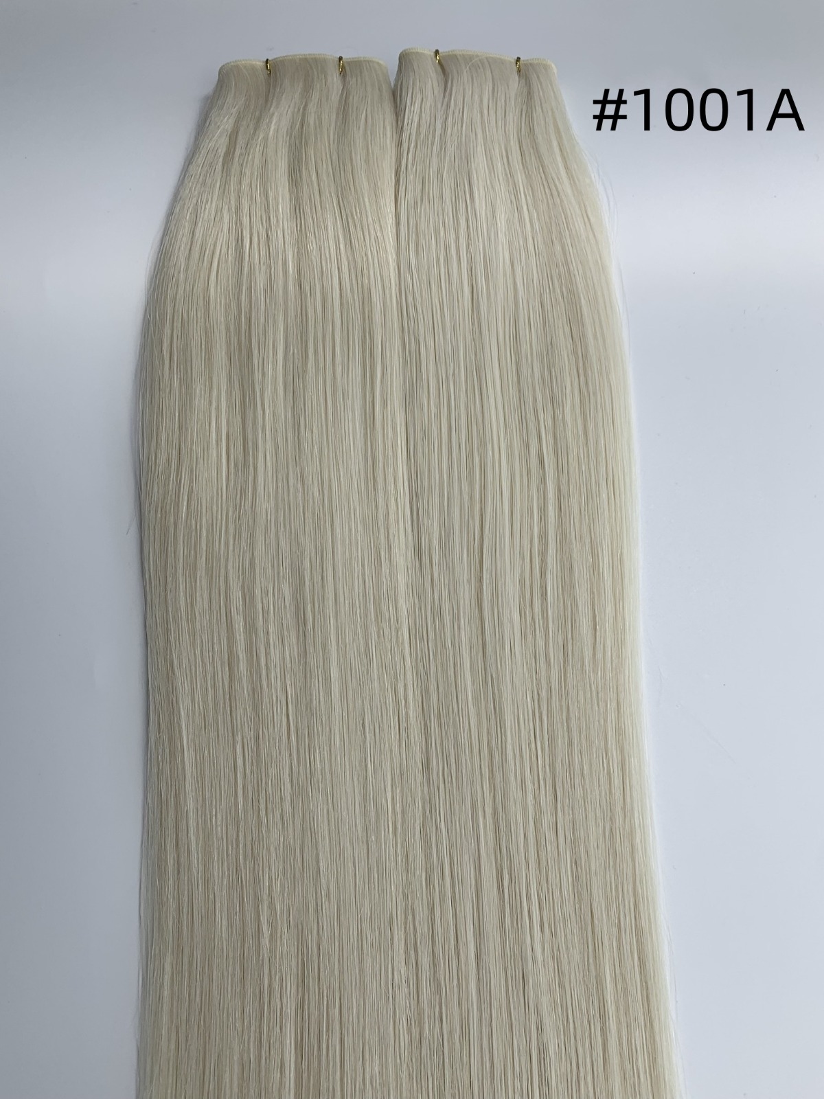G-1001A hair swatch