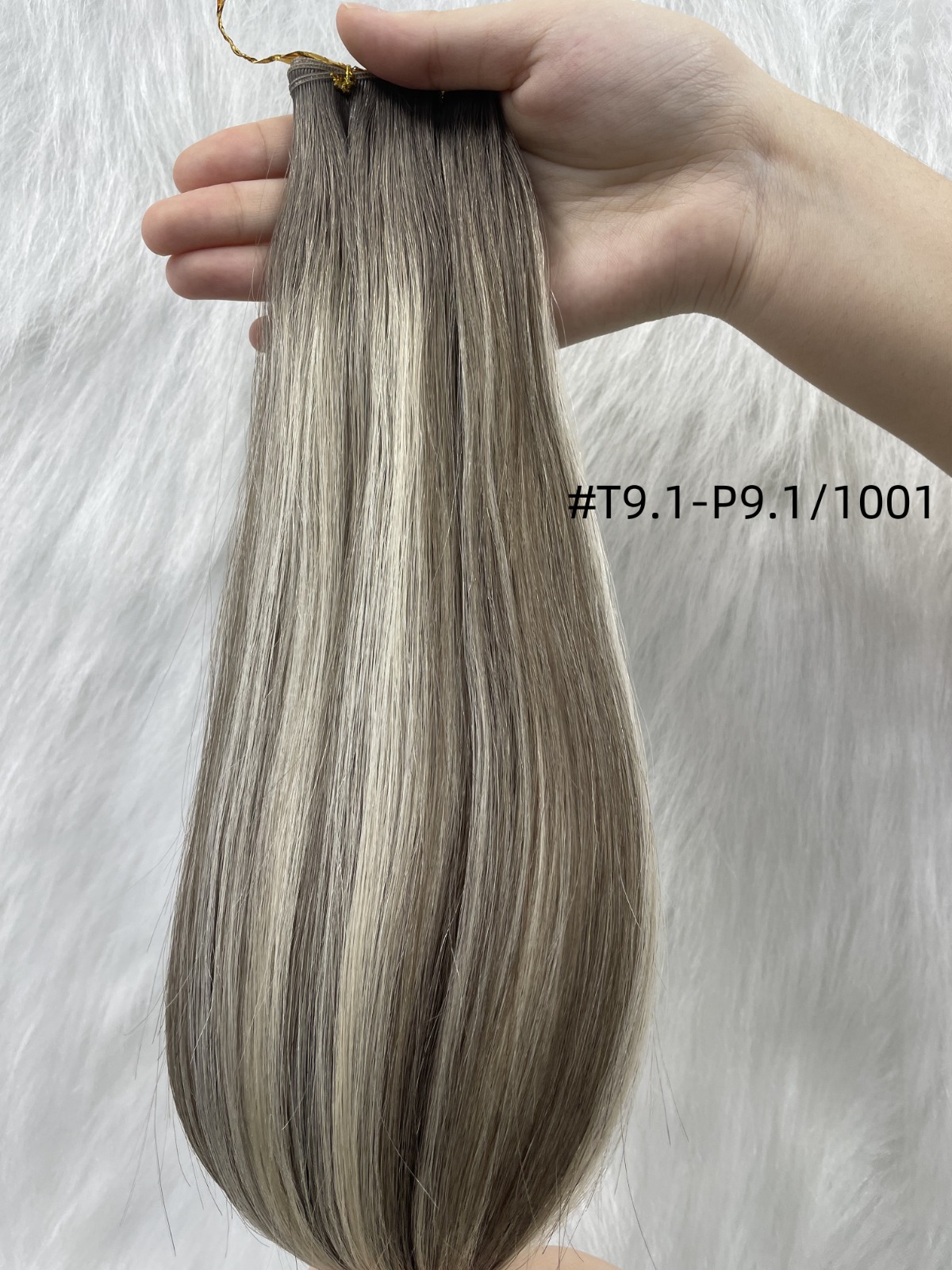 G-T9.1-P9.1/1001 hair swatch